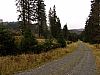 DSC06033.jpg